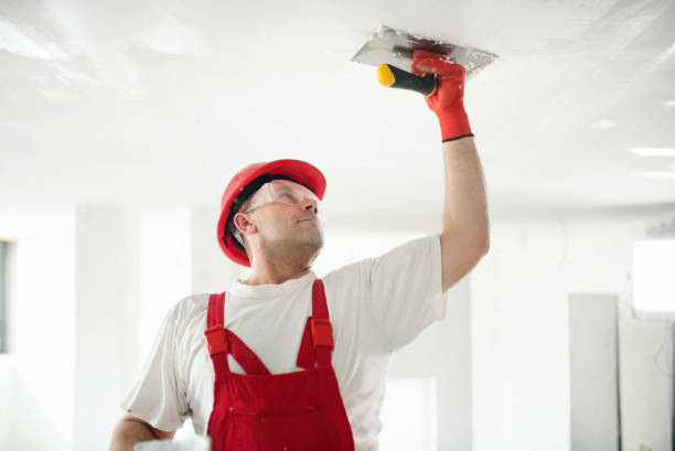 Reliable South Roxana, IL Painting Solutions